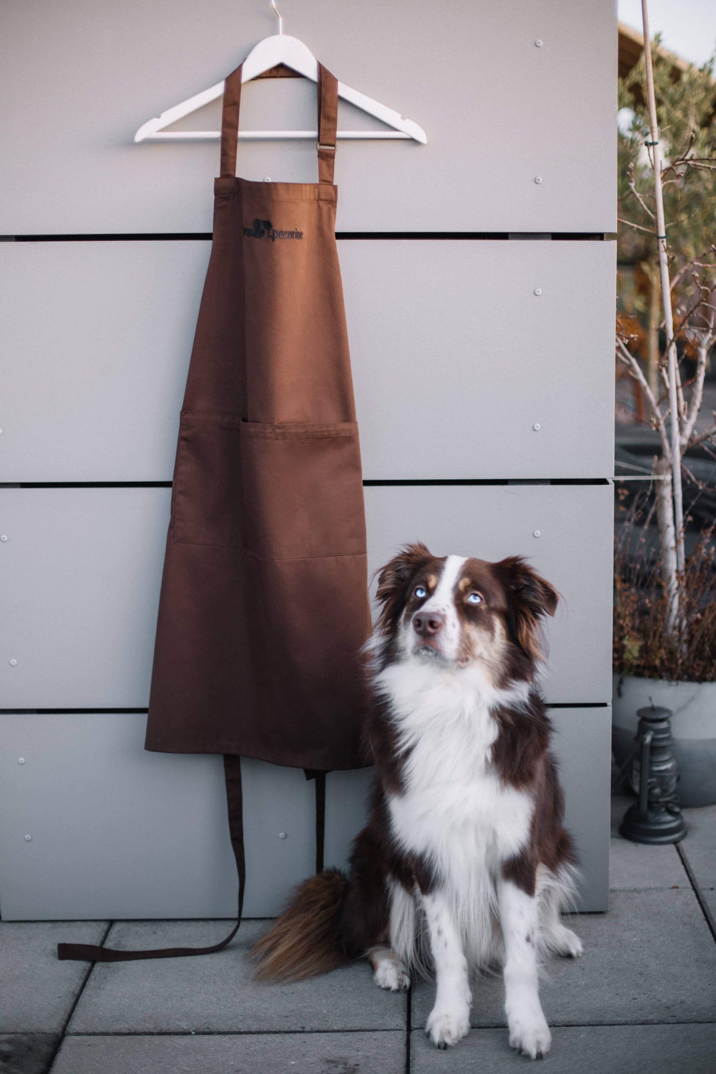 bruno.pecorino Premium Schürze (Erst-Edition)